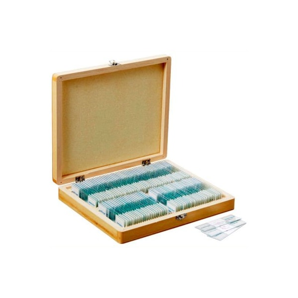 AmScope PS100E 100 pc. Homeschool Biology Prepared Microscope Slides with Wooden Case